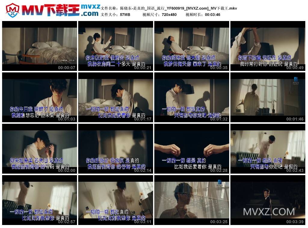 陈晓东-是真的_国语_流行_YF600919